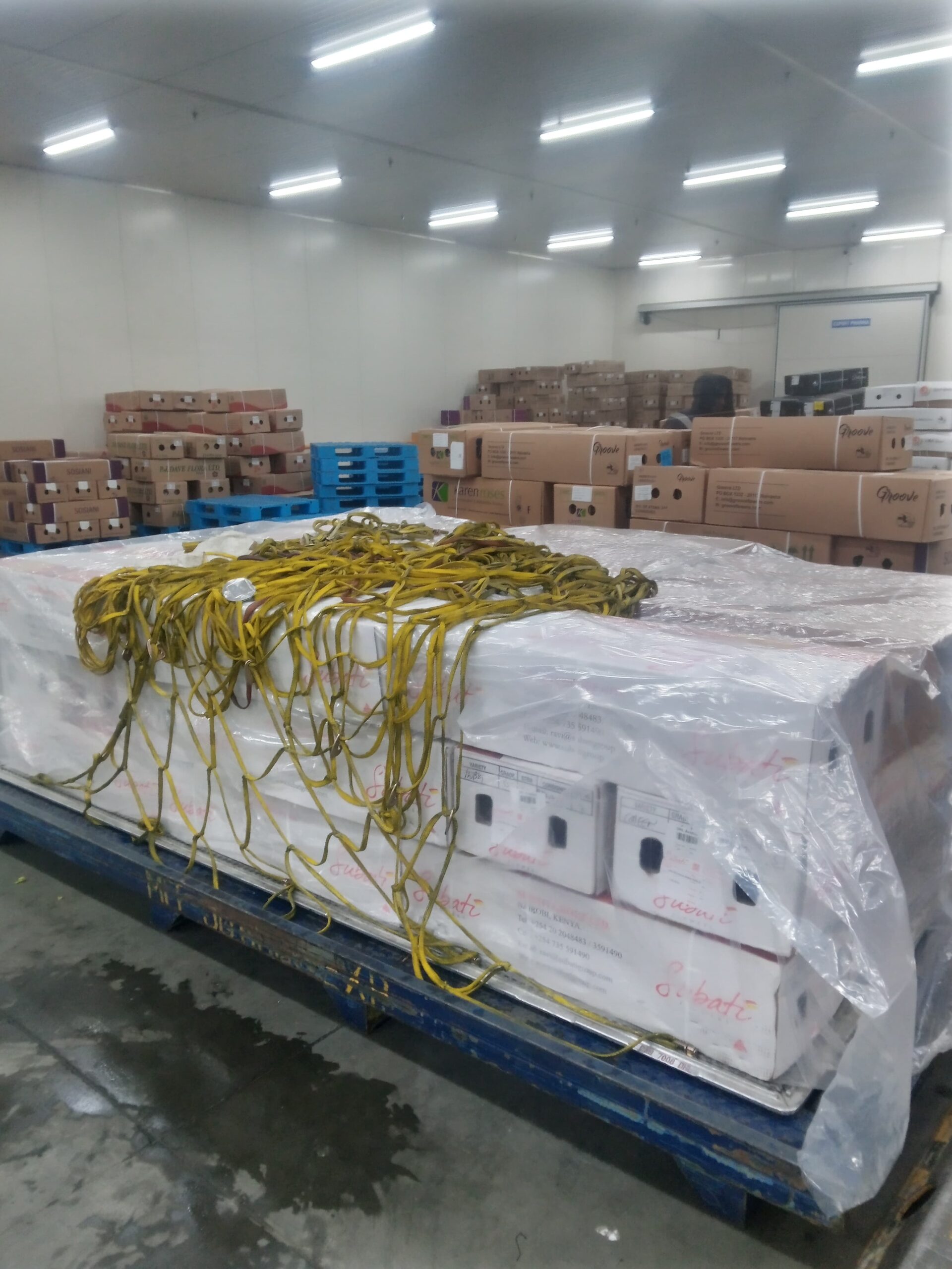 WhatsApp Image 2025-01-23 at 09.21.47_95fad9e8