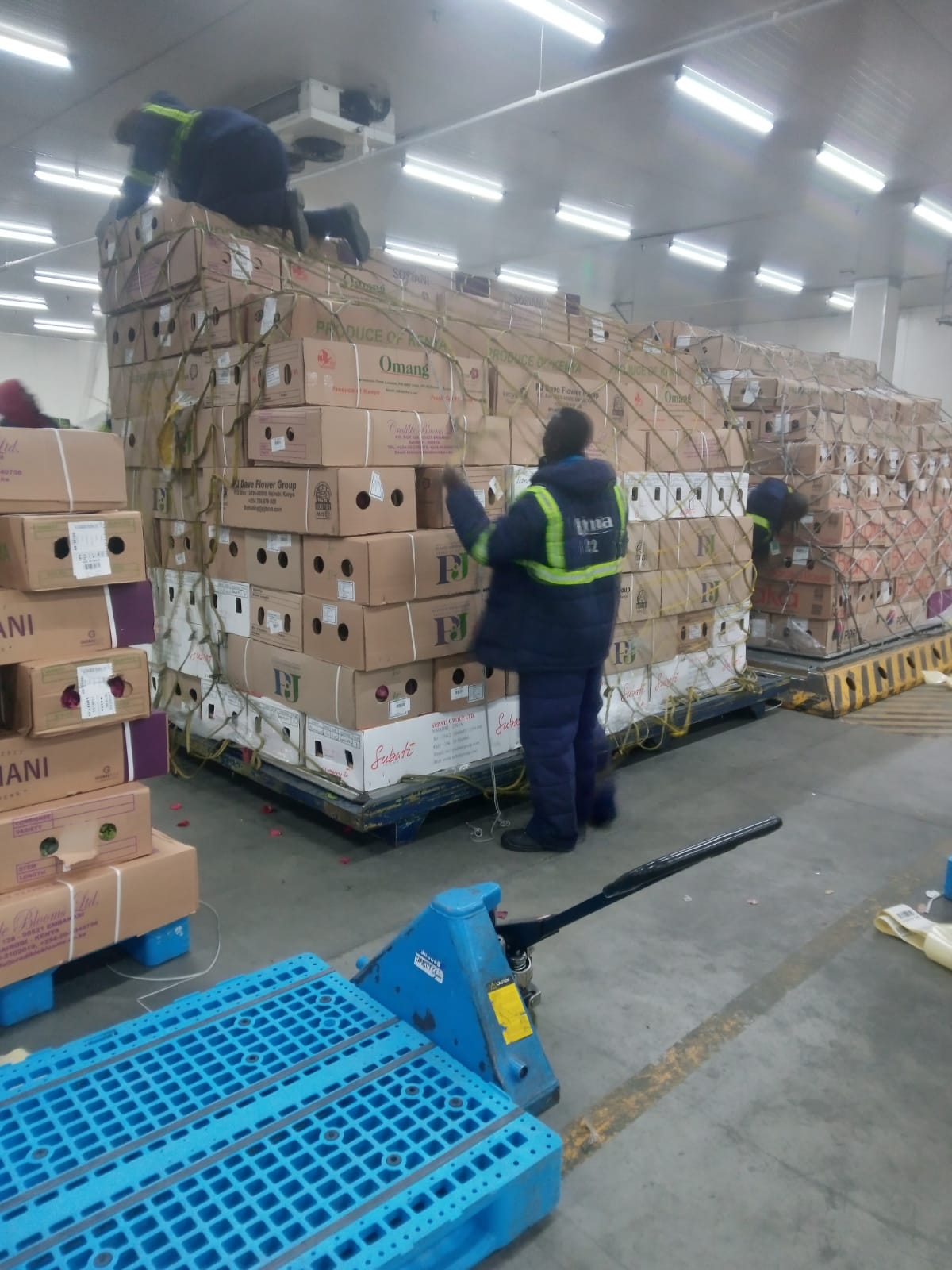 WhatsApp Image 2025-01-23 at 09.21.48_c5c1992b