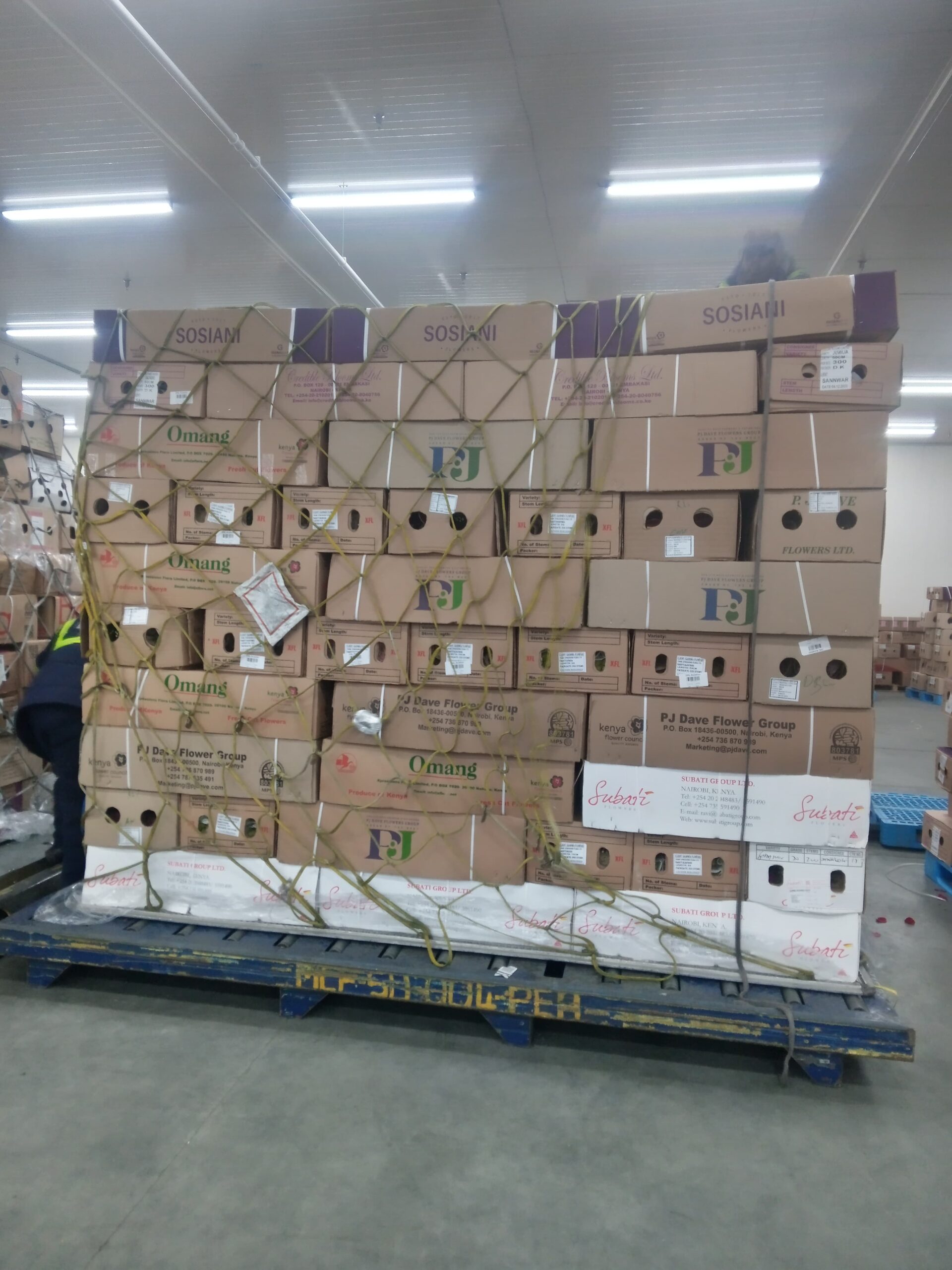 WhatsApp Image 2025-01-23 at 09.21.49_b004a59f